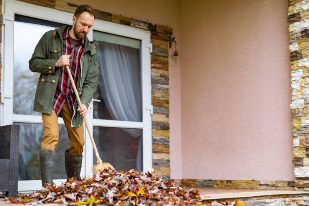 Debris Removal in Greenfield, MN
